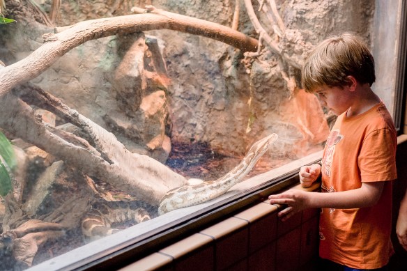 Week 39, 40 and 41-16