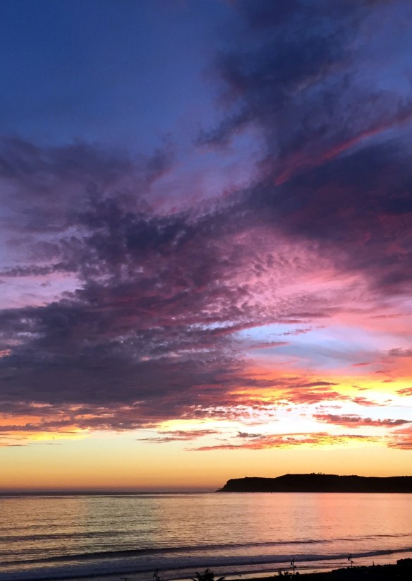 Week 39, 40 and 41-8