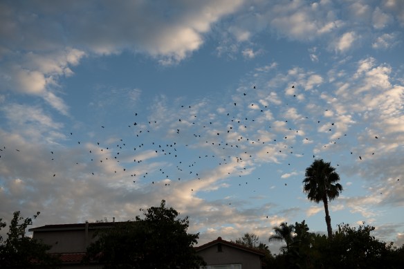 Week 39, 40 and 41-9